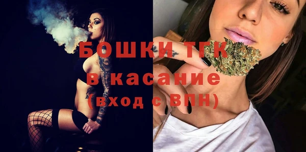 бошки Верхний Тагил