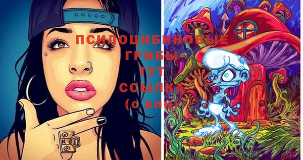 бошки Верхний Тагил